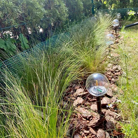 Jedyny Taki * Jastrzębia Góra