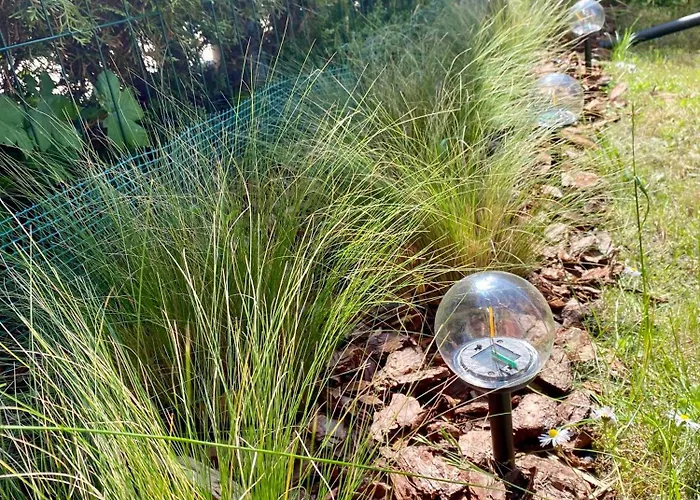 Jedyny Taki * Jastrzębia Góra